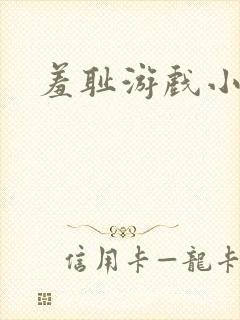 羞耻游戏小说