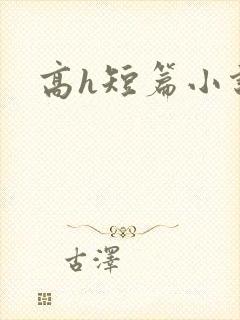 高h短篇小说