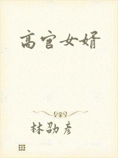 高官女婿