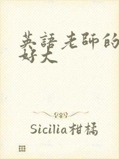 英语老师的兔子好大