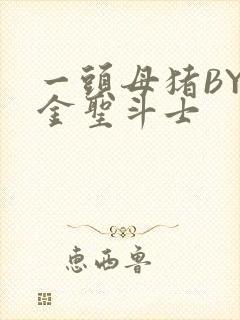 一头母猪BY黄金圣斗士