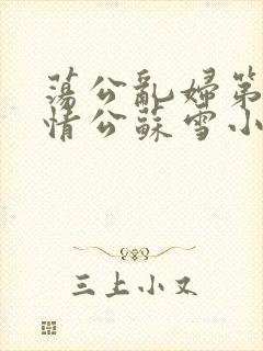 荡公乱妇第1章情公苏雪小说