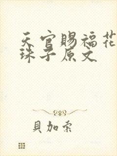 天官赐福花怜塞珠子原文封面