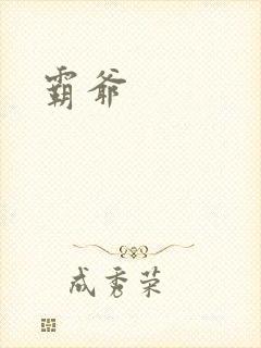 霸爷封面