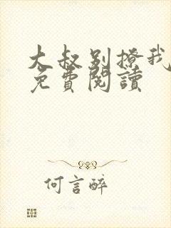 大叔别撩我小说免费阅读