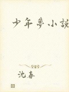 少年梦小说