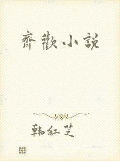 齐欢小说封面
