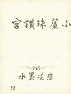 宫锁珠帘小说封面