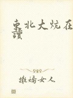东北大炕在线阅读封面