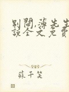 别闹,薄先生小说全文免费阅读封面