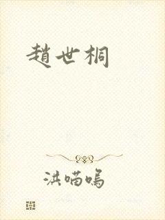 赵世桐封面