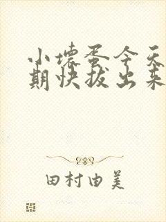 小坏蛋今天危险期快拔出来