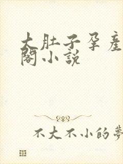 大肚子孕产笔趣阁小说