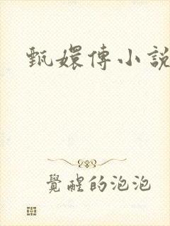 甄嬛传小说封面