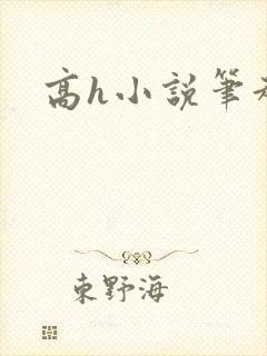 高h小说笔趣阁