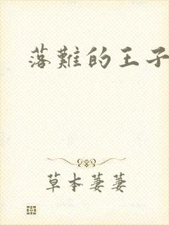 落难的王子