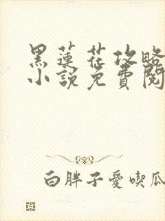 黑莲花攻略手册小说免费阅读封面