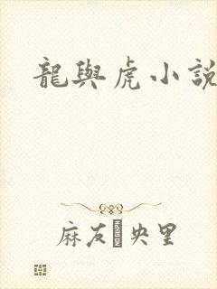 龙与虎小说