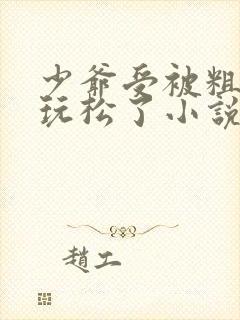 少爷受被粗汉H玩松了小说封面