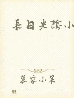 长日光阴小说