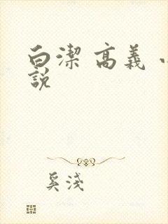 白洁 高义 小说