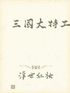 三国大特工