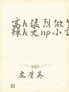 高h猛烈做哭高辣h文np小说封面