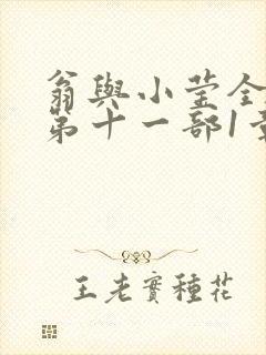 翁与小莹全目录第十一部1章