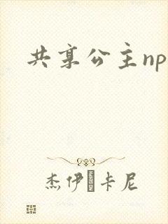 共享公主npc