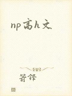 np高h文封面