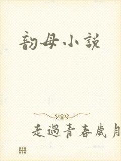 韵母小说封面
