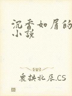 沉香如屑的原著小说封面