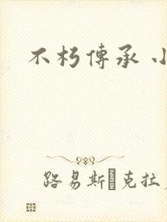 不朽传承 小说
