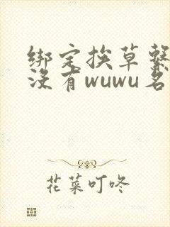 绑定挨草系统后没有wuwu名字