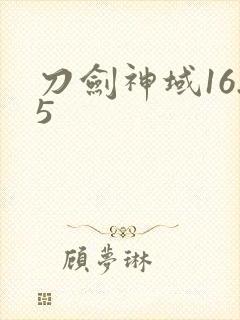 刀剑神域16.5
