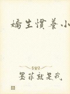 娇生惯养小说