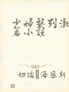 少妇系列激情短篇小说封面