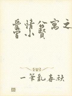 爱情公寓之极品曾小贤