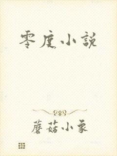 零度小说