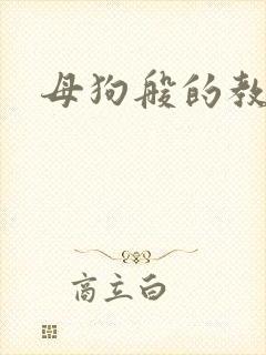 母狗般的教师封面