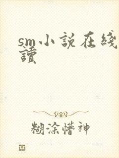 sm小说在线阅读