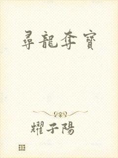 寻龙夺宝