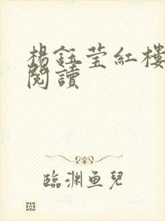 杨钰莹红楼全文阅读