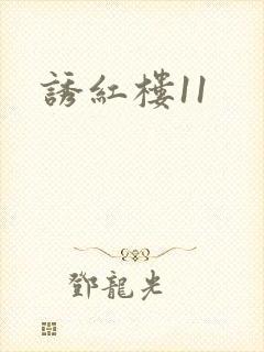 诱红楼11封面