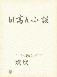 bl高h小说封面