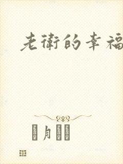 老卫的幸福生活封面