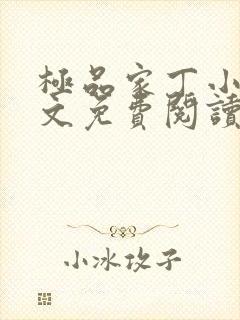 极品家丁小说全文免费阅读