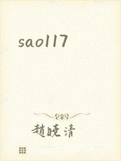 sao117封面