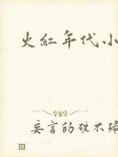 火红年代小说