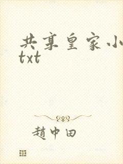 共享皇家小公主txt